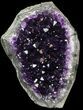 Dark Purple Amethyst Cut Base Cluster - Uruguay #36637-1